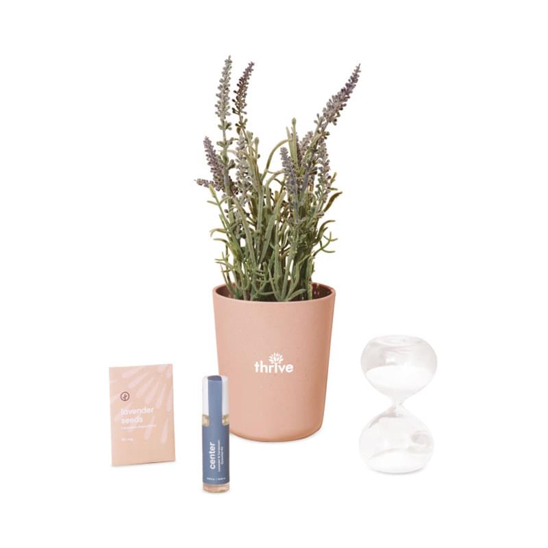 Modern Sprout&reg; Seek Peace Take Care Kit - Lavender