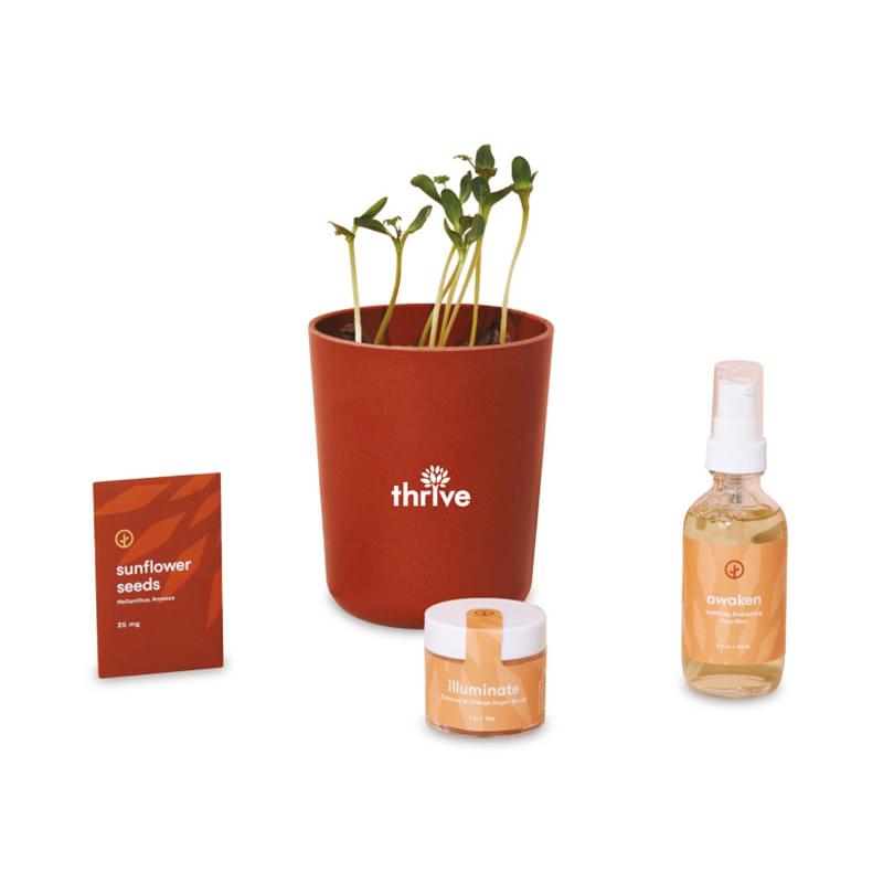 Modern Sprout&reg; Shine Bright Take Care Kit - Sunflower