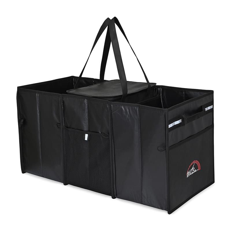 Structure Cargo Organizer with Cooler