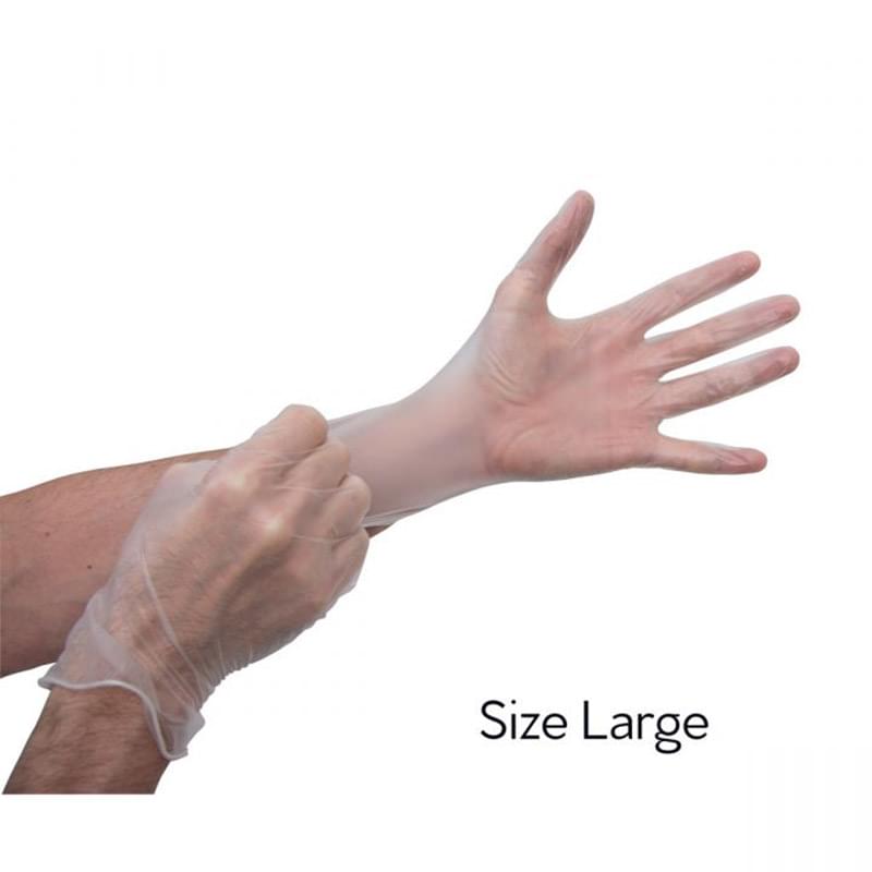 Transparent Gloves - Size L