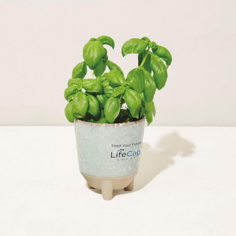 Modern Sprout&reg; Glow & Grow Live Well Gift Set