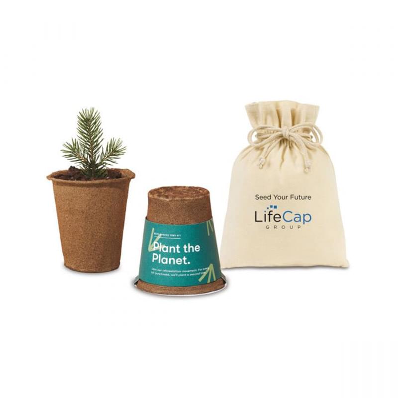 Modern Sprout&reg; One For One Tree Kits