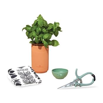 Modern Sprout® Growing Gourmet Gift Set