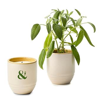 Modern Sprout® Garden Vibes Candle/Planter