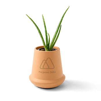 Modern Sprout® Modern Terracotta Grow Kit Aloe