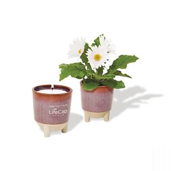 Modern Sprout Glow & Grow Live Well Gift Set